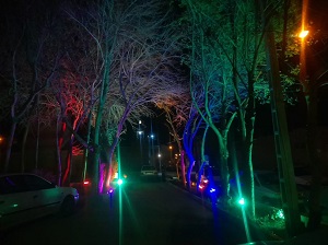 506